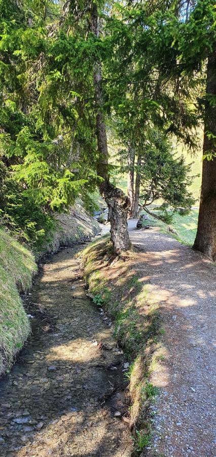 Un Moment De Detente Inoubliable Saillon-Les-Bain Exterior foto