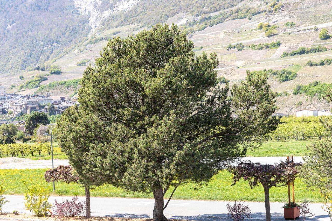 Un Moment De Detente Inoubliable Saillon-Les-Bain Exterior foto