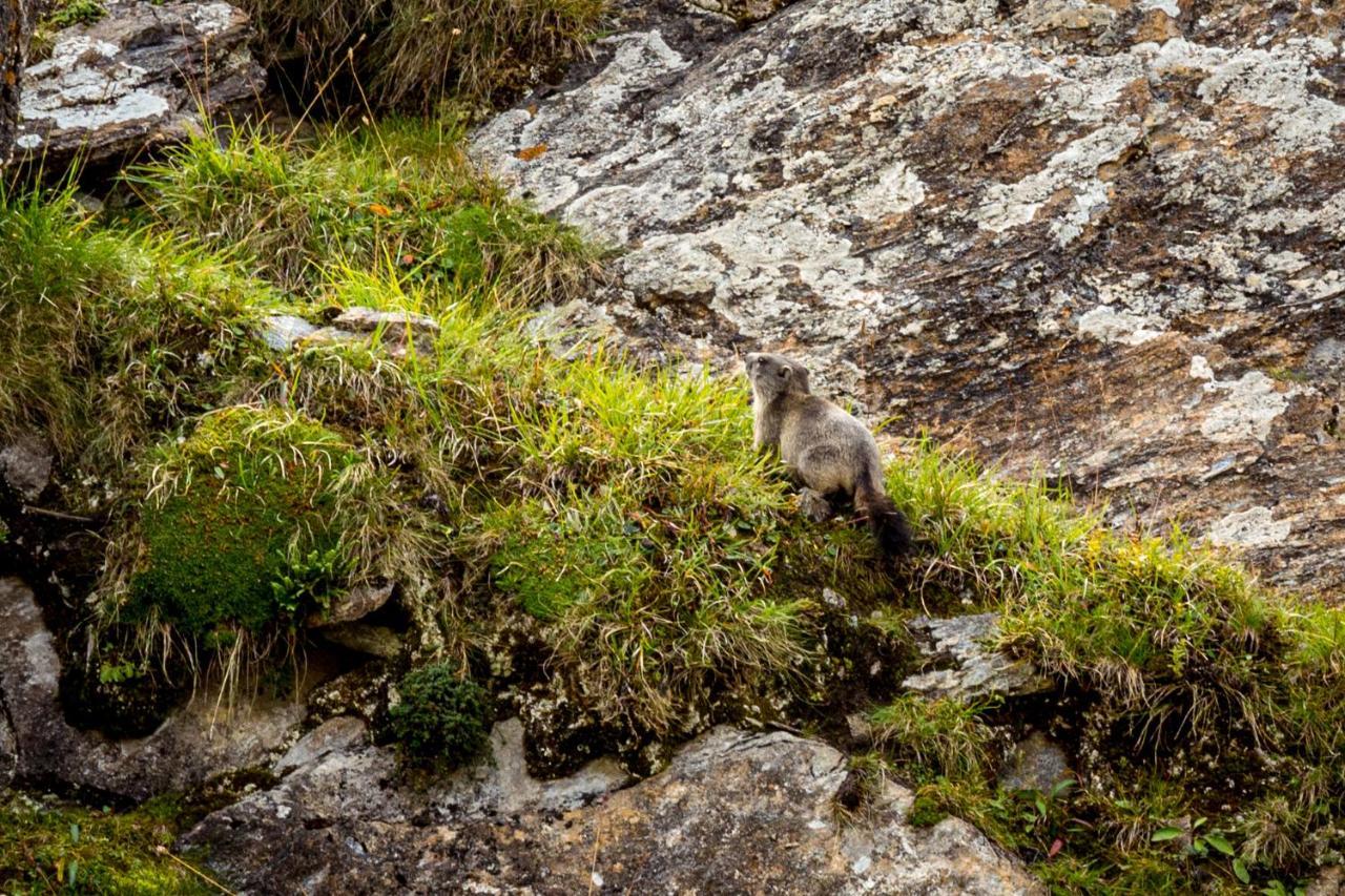 Un Moment De Detente Inoubliable Saillon-Les-Bain Exterior foto
